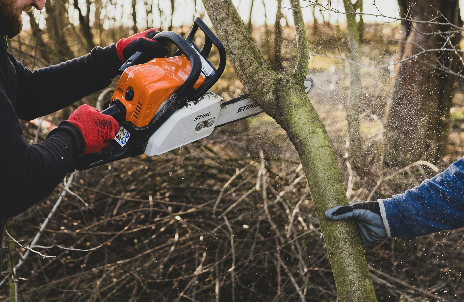 a man cutting a tree with a chainsaw