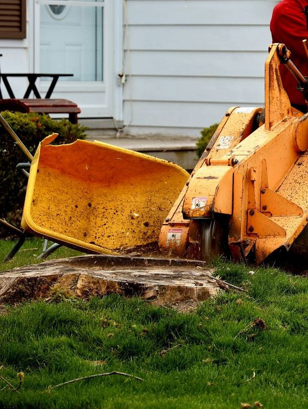 man in orange jacket sitting on yellow and black tractor