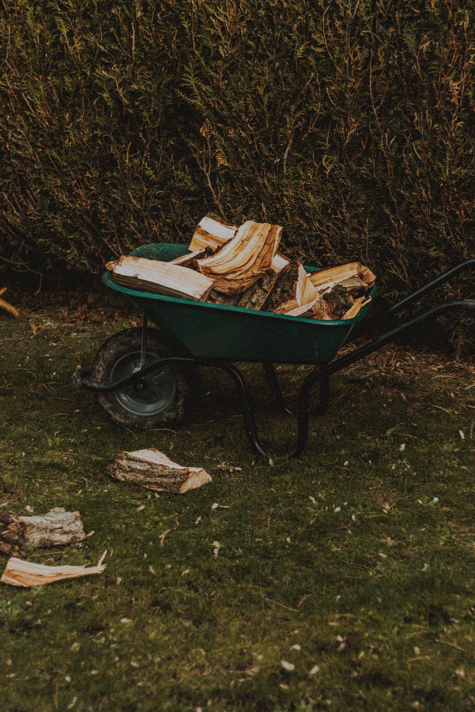 Garden cart with heap of cut tree trunks on lawn with slivers in countryside on summer day